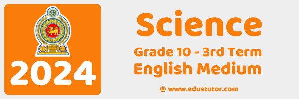 Grade 10 – Science 3rd Term Exam Paper – Provincial Department of Education, Northern Province - 2024 - English Medium