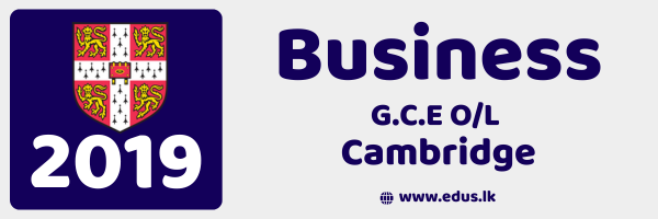 2019 Cambridge O/L Business Studies Past Paper – Part 2