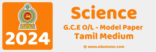 Grade 10 – Science 3rd Term Exam Paper – Provincial Department of Education, Northern Province - 2024 - Tamil Medium